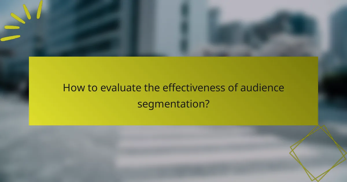 How to evaluate the effectiveness of audience segmentation?