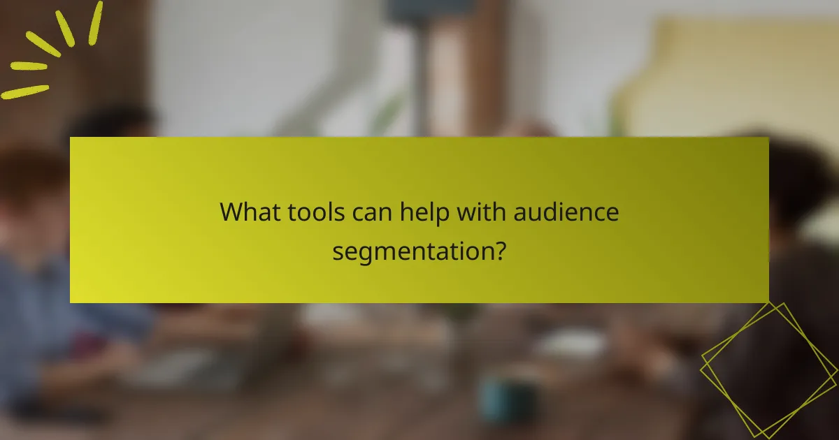 What tools can help with audience segmentation?
